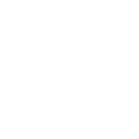 Orb