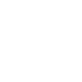 Vega